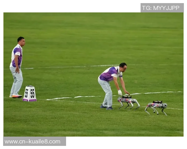 朱旭航：探索科技前沿与人文关怀的完美结合之路